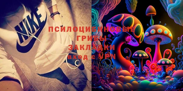 СК Абаза