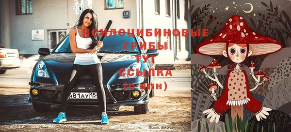 мяу мяу кристалл Гусь-Хрустальный