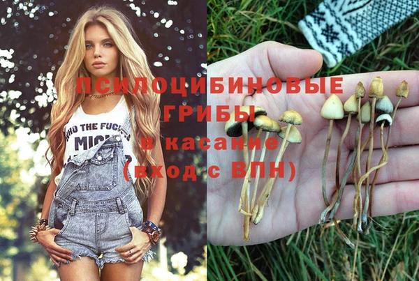 СК Абаза